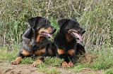 BEAUCERON 339